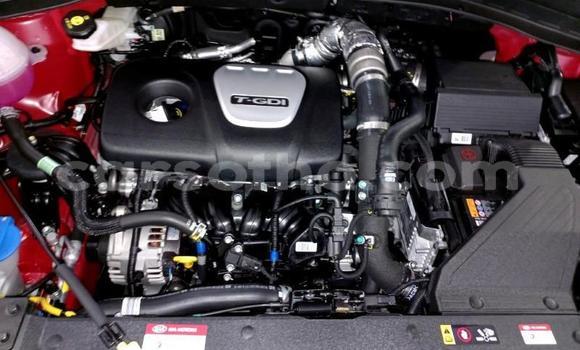 اشتري مستعمل Kia Sportage Red سيارة في Maseru في Maseru اشتري مستعمل Kia Sportage Red سيارة في Maseru في Maseru
