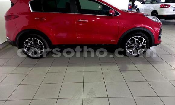 اشتري مستعمل Kia Sportage Red سيارة في Maseru في Maseru اشتري مستعمل Kia Sportage Red سيارة في Maseru في Maseru