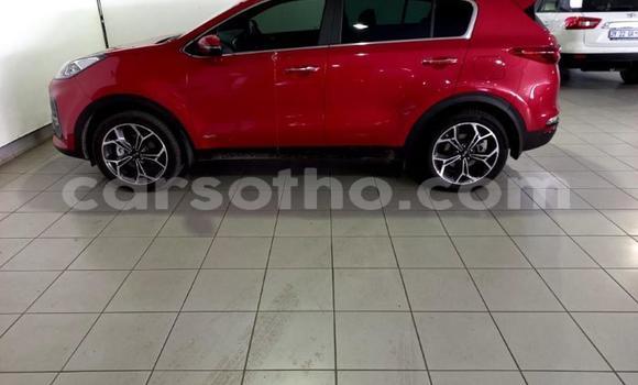 اشتري مستعمل Kia Sportage Red سيارة في Maseru في Maseru اشتري مستعمل Kia Sportage Red سيارة في Maseru في Maseru