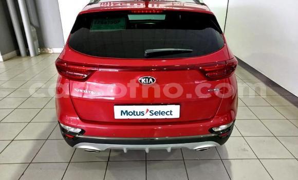 اشتري مستعمل Kia Sportage Red سيارة في Maseru في Maseru اشتري مستعمل Kia Sportage Red سيارة في Maseru في Maseru