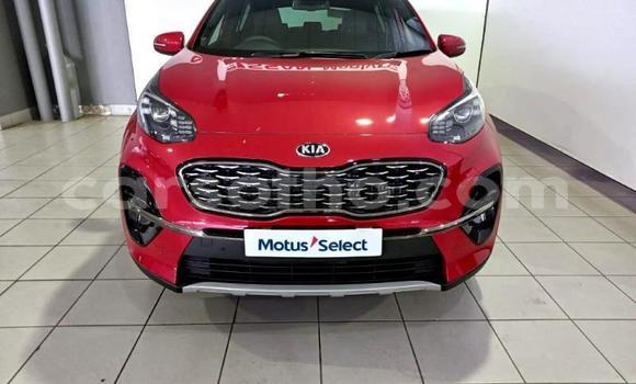 اشتري مستعمل Kia Sportage Red سيارة في Maseru في Maseru اشتري مستعمل Kia Sportage Red سيارة في Maseru في Maseru