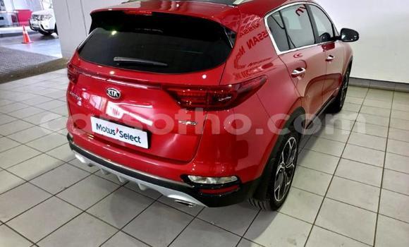 اشتري مستعمل Kia Sportage Red سيارة في Maseru في Maseru اشتري مستعمل Kia Sportage Red سيارة في Maseru في Maseru