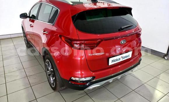 اشتري مستعمل Kia Sportage Red سيارة في Maseru في Maseru اشتري مستعمل Kia Sportage Red سيارة في Maseru في Maseru