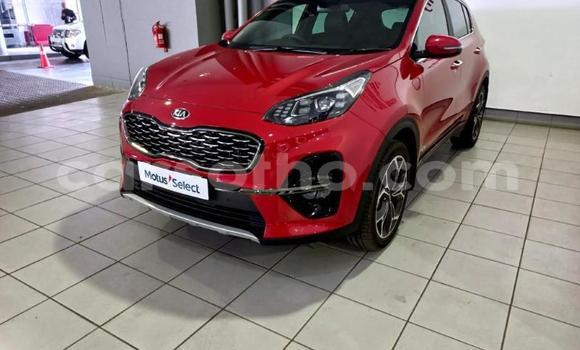 اشتري مستعمل Kia Sportage Red سيارة في Maseru في Maseru اشتري مستعمل Kia Sportage Red سيارة في Maseru في Maseru