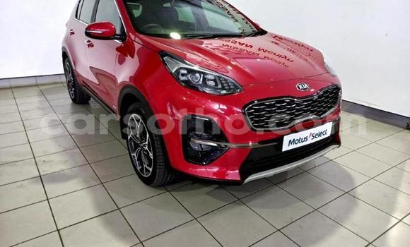 اشتري مستعمل Kia Sportage Red سيارة في Maseru في Maseru اشتري مستعمل Kia Sportage Red سيارة في Maseru في Maseru