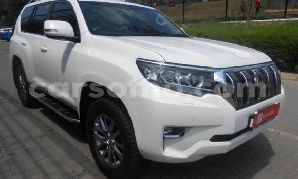 Sayi Na hannu Toyota Land Cruiser Prado White Mota in Maseru a Maseru Sayi Na hannu Toyota Land Cruiser Prado White Mota in Maseru a Maseru