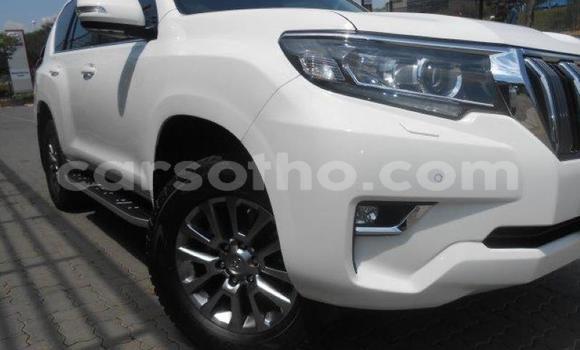 Sayi Na hannu Toyota Land Cruiser Prado White Mota in Maseru a Maseru Sayi Na hannu Toyota Land Cruiser Prado White Mota in Maseru a Maseru