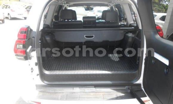 Sayi Na hannu Toyota Land Cruiser Prado White Mota in Maseru a Maseru Sayi Na hannu Toyota Land Cruiser Prado White Mota in Maseru a Maseru