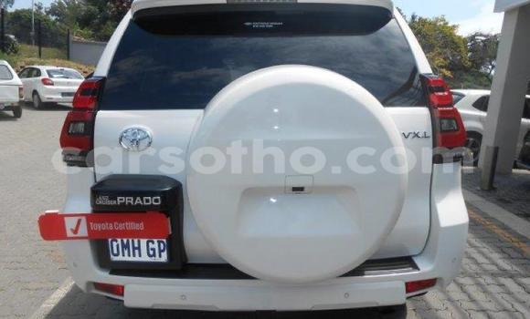 Sayi Na hannu Toyota Land Cruiser Prado White Mota in Maseru a Maseru Sayi Na hannu Toyota Land Cruiser Prado White Mota in Maseru a Maseru