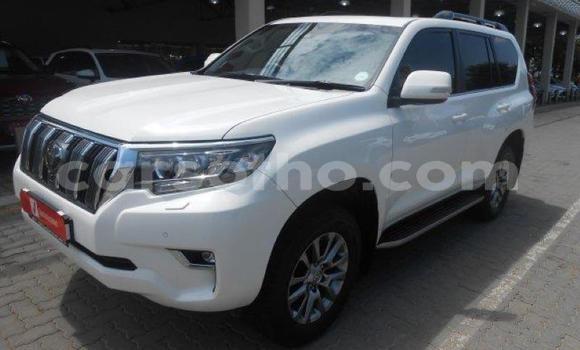Sayi Na hannu Toyota Land Cruiser Prado White Mota in Maseru a Maseru Sayi Na hannu Toyota Land Cruiser Prado White Mota in Maseru a Maseru