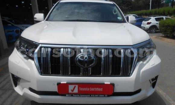 Sayi Na hannu Toyota Land Cruiser Prado White Mota in Maseru a Maseru Sayi Na hannu Toyota Land Cruiser Prado White Mota in Maseru a Maseru