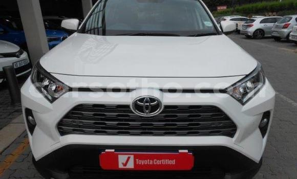 اشتري مستعمل Toyota RAV4 White سيارة في Maseru في Maseru اشتري مستعمل Toyota RAV4 White سيارة في Maseru في Maseru