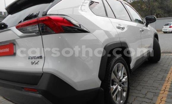اشتري مستعمل Toyota RAV4 White سيارة في Maseru في Maseru اشتري مستعمل Toyota RAV4 White سيارة في Maseru في Maseru
