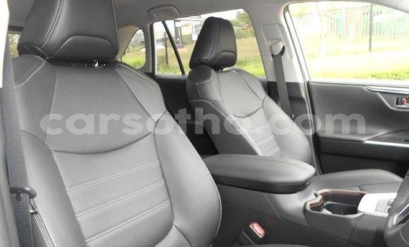 اشتري مستعمل Toyota RAV4 White سيارة في Maseru في Maseru اشتري مستعمل Toyota RAV4 White سيارة في Maseru في Maseru