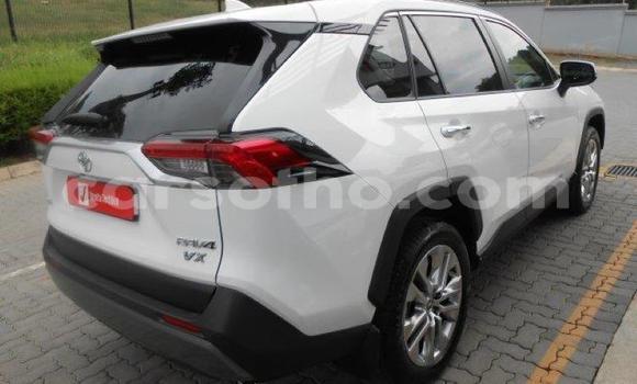 اشتري مستعمل Toyota RAV4 White سيارة في Maseru في Maseru اشتري مستعمل Toyota RAV4 White سيارة في Maseru في Maseru