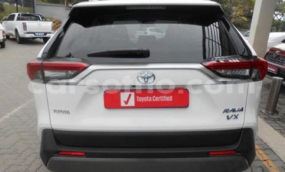 اشتري مستعمل Toyota RAV4 White سيارة في Maseru في Maseru اشتري مستعمل Toyota RAV4 White سيارة في Maseru في Maseru