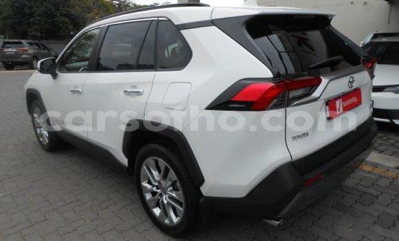 اشتري مستعمل Toyota RAV4 White سيارة في Maseru في Maseru اشتري مستعمل Toyota RAV4 White سيارة في Maseru في Maseru
