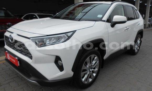 اشتري مستعمل Toyota RAV4 White سيارة في Maseru في Maseru اشتري مستعمل Toyota RAV4 White سيارة في Maseru في Maseru