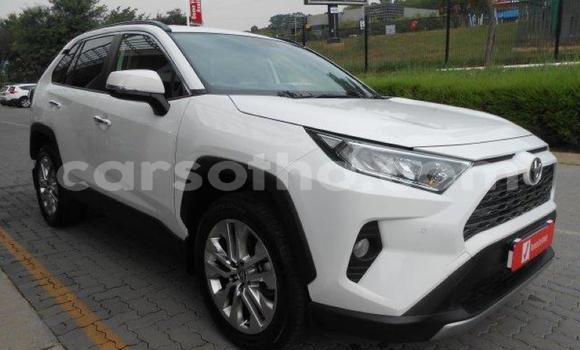 اشتري مستعمل Toyota RAV4 White سيارة في Maseru في Maseru اشتري مستعمل Toyota RAV4 White سيارة في Maseru في Maseru