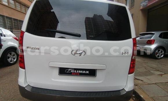 اشتري مستعمل Hyundai H1 White سيارة في Maseru في Maseru اشتري مستعمل Hyundai H1 White سيارة في Maseru في Maseru