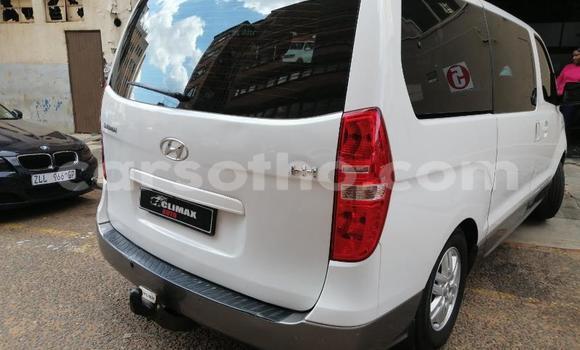 اشتري مستعمل Hyundai H1 White سيارة في Maseru في Maseru اشتري مستعمل Hyundai H1 White سيارة في Maseru في Maseru
