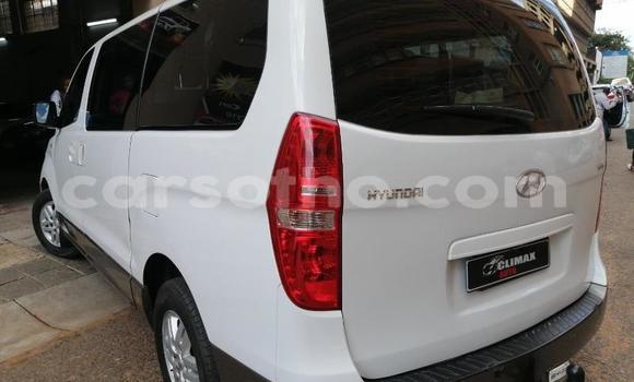 اشتري مستعمل Hyundai H1 White سيارة في Maseru في Maseru اشتري مستعمل Hyundai H1 White سيارة في Maseru في Maseru