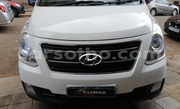 اشتري مستعمل Hyundai H1 White سيارة في Maseru في Maseru اشتري مستعمل Hyundai H1 White سيارة في Maseru في Maseru