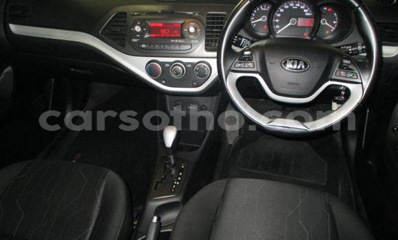 اشتري مستعمل Kia Picanto Silver سيارة في Maseru في Maseru اشتري مستعمل Kia Picanto Silver سيارة في Maseru في Maseru