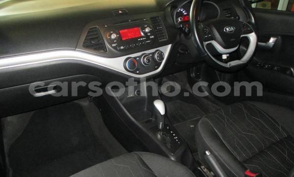 اشتري مستعمل Kia Picanto Silver سيارة في Maseru في Maseru اشتري مستعمل Kia Picanto Silver سيارة في Maseru في Maseru