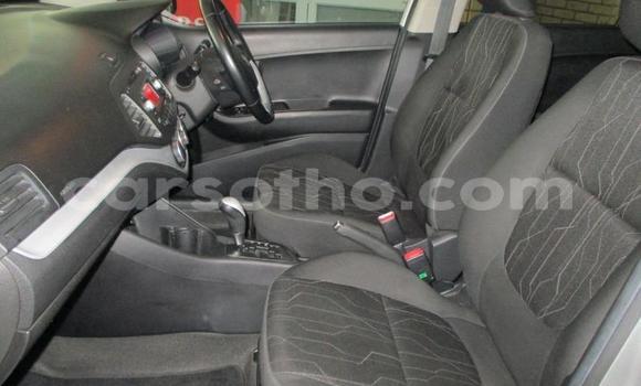 اشتري مستعمل Kia Picanto Silver سيارة في Maseru في Maseru اشتري مستعمل Kia Picanto Silver سيارة في Maseru في Maseru