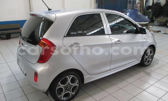 اشتري مستعمل Kia Picanto Silver سيارة في Maseru في Maseru اشتري مستعمل Kia Picanto Silver سيارة في Maseru في Maseru