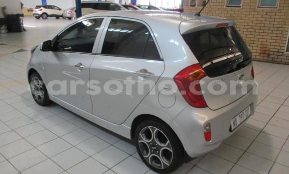 اشتري مستعمل Kia Picanto Silver سيارة في Maseru في Maseru اشتري مستعمل Kia Picanto Silver سيارة في Maseru في Maseru