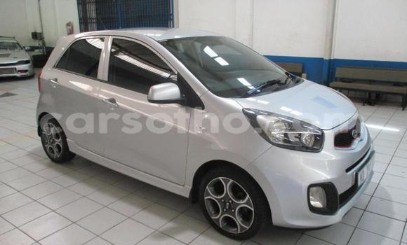 اشتري مستعمل Kia Picanto Silver سيارة في Maseru في Maseru اشتري مستعمل Kia Picanto Silver سيارة في Maseru في Maseru