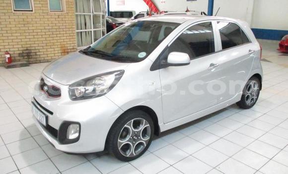 اشتري مستعمل Kia Picanto Silver سيارة في Maseru في Maseru اشتري مستعمل Kia Picanto Silver سيارة في Maseru في Maseru