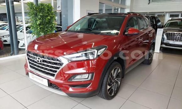 اشتري مستعمل Hyundai Tucson Red سيارة في Maseru في Maseru اشتري مستعمل Hyundai Tucson Red سيارة في Maseru في Maseru