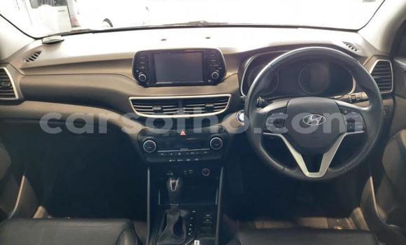 اشتري مستعمل Hyundai Tucson Red سيارة في Maseru في Maseru اشتري مستعمل Hyundai Tucson Red سيارة في Maseru في Maseru