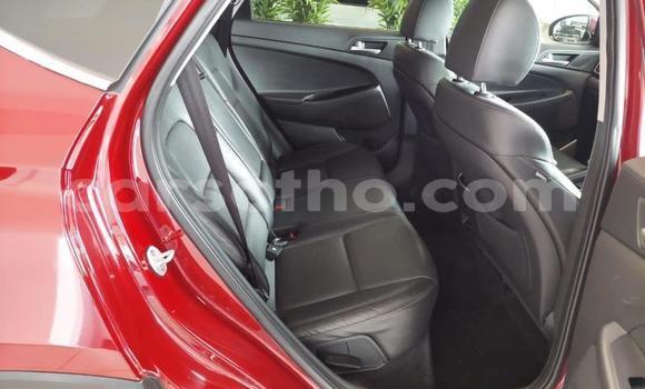 اشتري مستعمل Hyundai Tucson Red سيارة في Maseru في Maseru اشتري مستعمل Hyundai Tucson Red سيارة في Maseru في Maseru