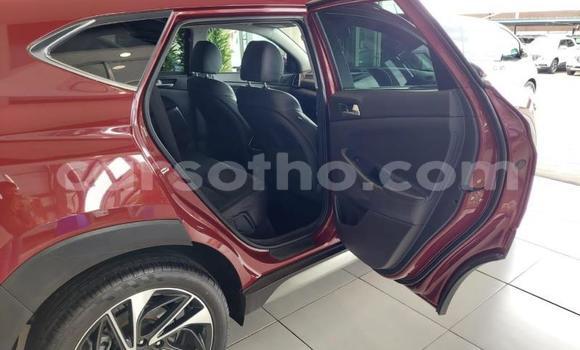 اشتري مستعمل Hyundai Tucson Red سيارة في Maseru في Maseru اشتري مستعمل Hyundai Tucson Red سيارة في Maseru في Maseru