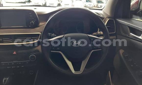 اشتري مستعمل Hyundai Tucson Red سيارة في Maseru في Maseru اشتري مستعمل Hyundai Tucson Red سيارة في Maseru في Maseru