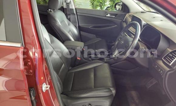 اشتري مستعمل Hyundai Tucson Red سيارة في Maseru في Maseru اشتري مستعمل Hyundai Tucson Red سيارة في Maseru في Maseru