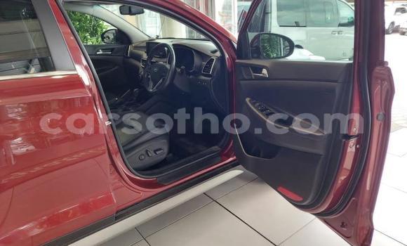 اشتري مستعمل Hyundai Tucson Red سيارة في Maseru في Maseru اشتري مستعمل Hyundai Tucson Red سيارة في Maseru في Maseru