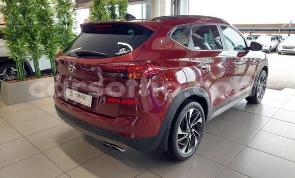 اشتري مستعمل Hyundai Tucson Red سيارة في Maseru في Maseru اشتري مستعمل Hyundai Tucson Red سيارة في Maseru في Maseru