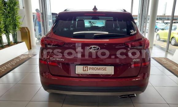 اشتري مستعمل Hyundai Tucson Red سيارة في Maseru في Maseru اشتري مستعمل Hyundai Tucson Red سيارة في Maseru في Maseru