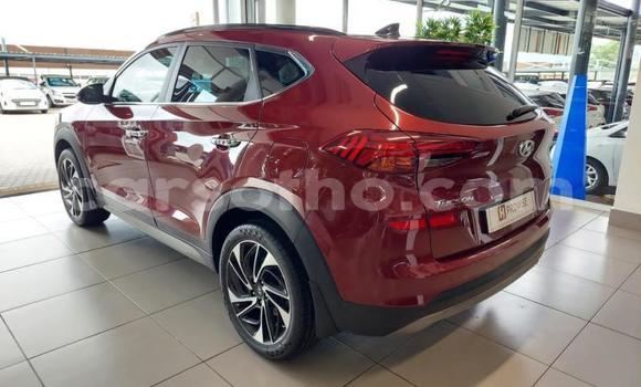 اشتري مستعمل Hyundai Tucson Red سيارة في Maseru في Maseru اشتري مستعمل Hyundai Tucson Red سيارة في Maseru في Maseru