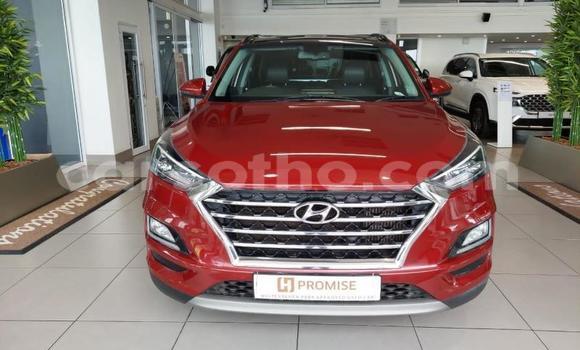 اشتري مستعمل Hyundai Tucson Red سيارة في Maseru في Maseru اشتري مستعمل Hyundai Tucson Red سيارة في Maseru في Maseru