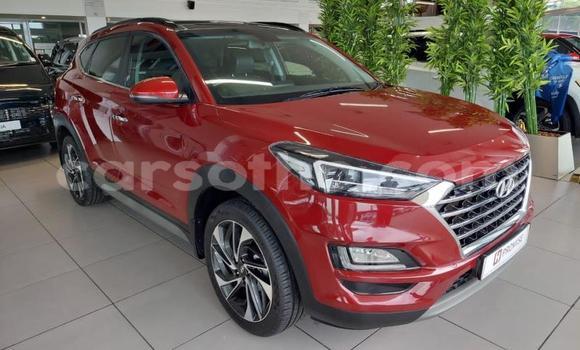 اشتري مستعمل Hyundai Tucson Red سيارة في Maseru في Maseru اشتري مستعمل Hyundai Tucson Red سيارة في Maseru في Maseru