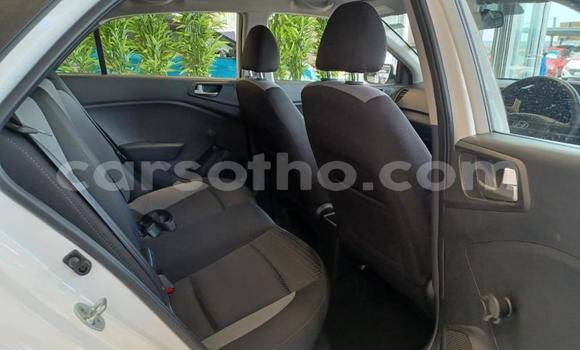 اشتري مستعمل Hyundai i20 White سيارة في Maseru في Maseru اشتري مستعمل Hyundai i20 White سيارة في Maseru في Maseru