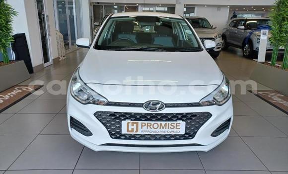 اشتري مستعمل Hyundai i20 White سيارة في Maseru في Maseru اشتري مستعمل Hyundai i20 White سيارة في Maseru في Maseru
