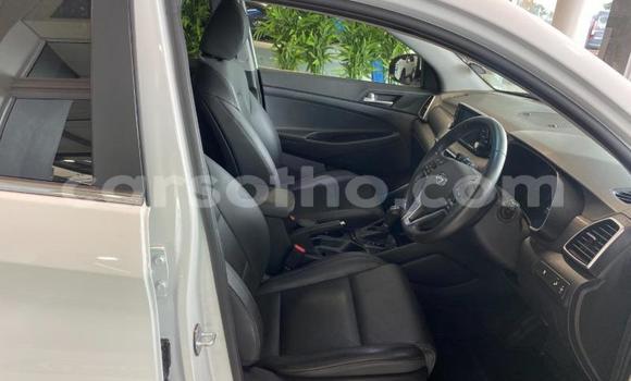 Sayi Na hannu Hyundai Tucson White Mota in Maseru a Maseru Sayi Na hannu Hyundai Tucson White Mota in Maseru a Maseru
