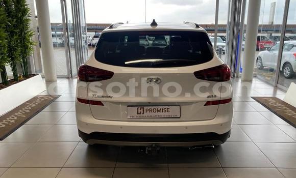 Sayi Na hannu Hyundai Tucson White Mota in Maseru a Maseru Sayi Na hannu Hyundai Tucson White Mota in Maseru a Maseru